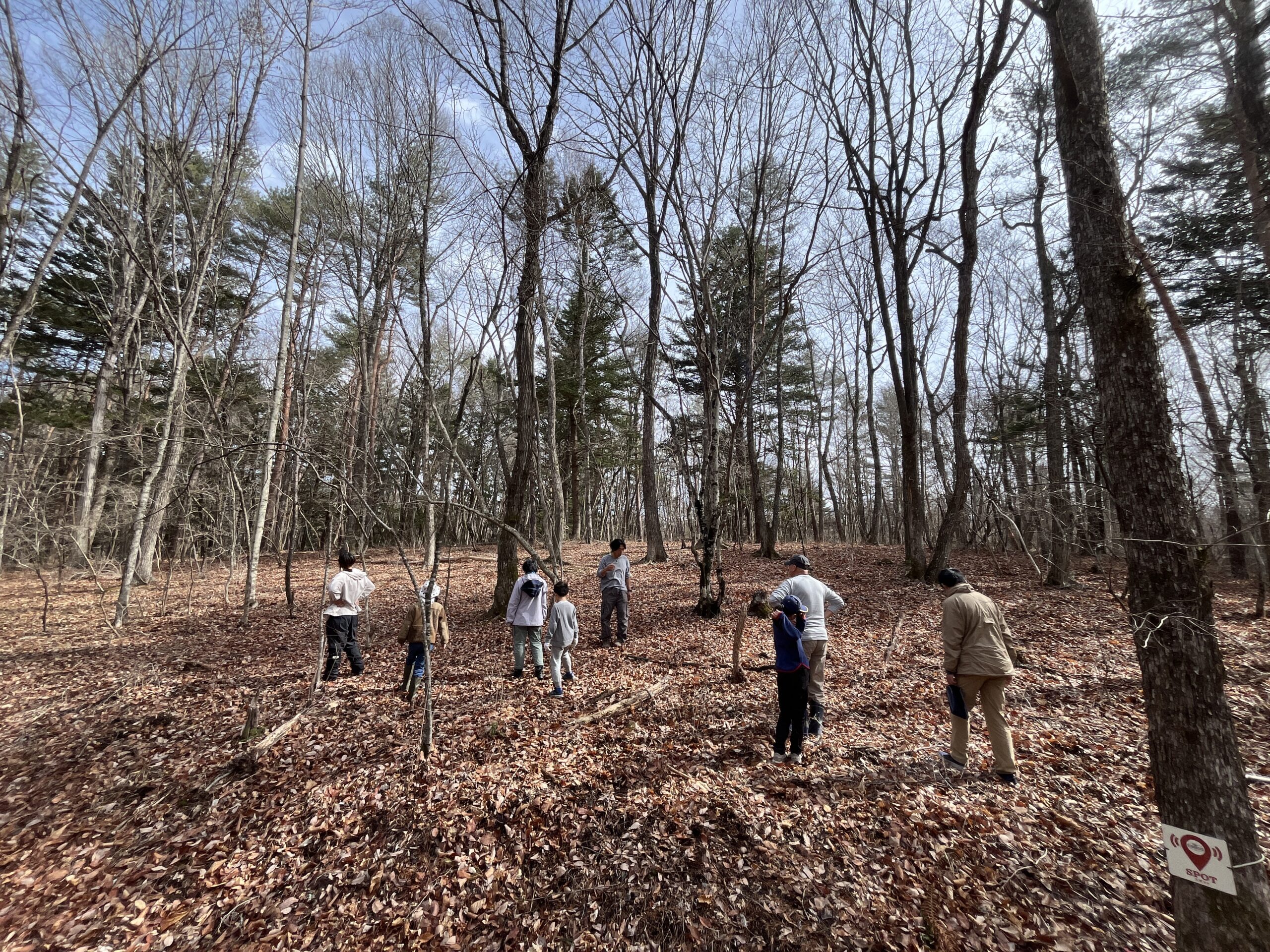 キャンプの様子