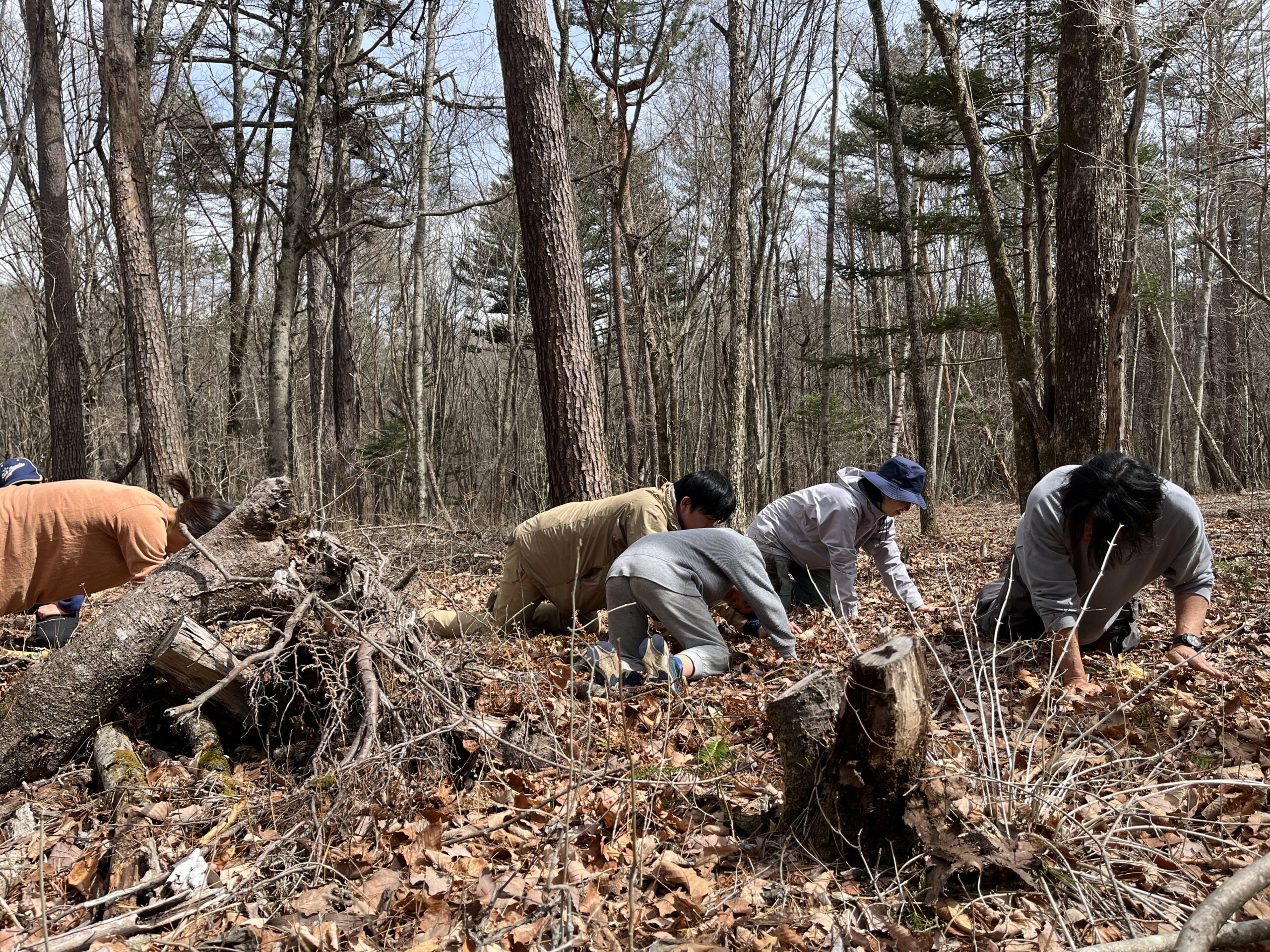 ワイドアングルビジョン
